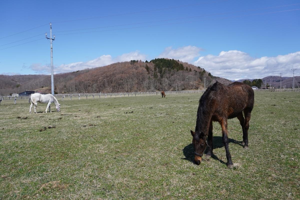 5b87df4d25a4ee64e2bd2623120940b2-1776212184.jpg 5b87df4d25a4ee64e2bd2623120940b2-1776212184.jpg